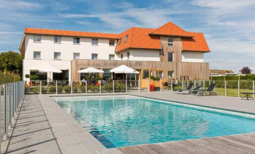 Ibis De Haan 1 origineel